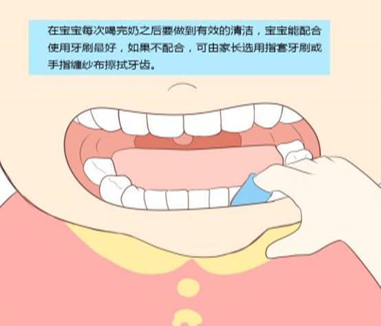 爱牙月科普 | 从宝宝出生就开始清洁口腔(图2)